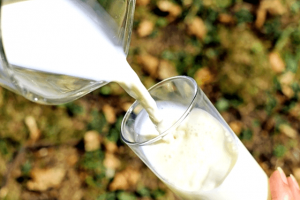 La dieta de la leche para adelgazar La dieta de la leche