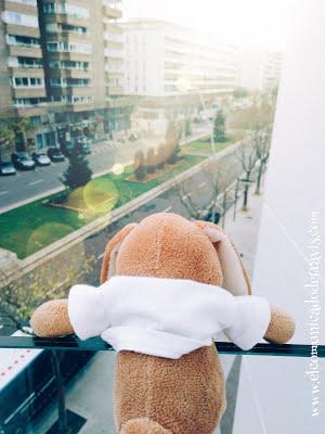 ENIGMA DE ADVIENTO. CONEJITO TOMA EL CONTROL