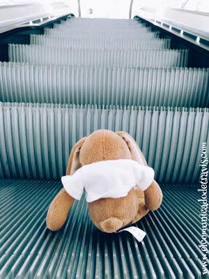 ENIGMA DE ADVIENTO. CONEJITO TOMA EL CONTROL