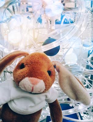 ENIGMA DE ADVIENTO. CONEJITO TOMA EL CONTROL