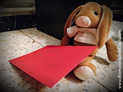 ENIGMA DE ADVIENTO. CONEJITO TOMA EL CONTROL