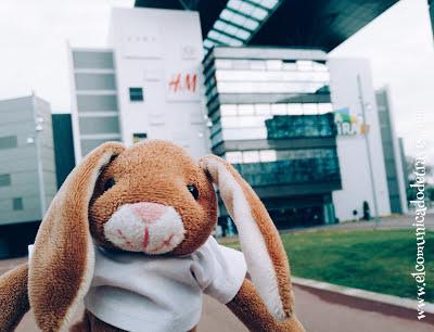 ENIGMA DE ADVIENTO. CONEJITO TOMA EL CONTROL