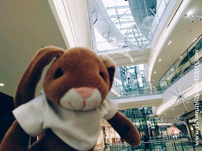 ENIGMA DE ADVIENTO. CONEJITO TOMA EL CONTROL