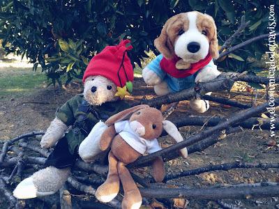 ENIGMA DE ADVIENTO. CACHORROS RASTREADORES ENIGMA DE ADVIENTO. CACHORROS RASTREADORES