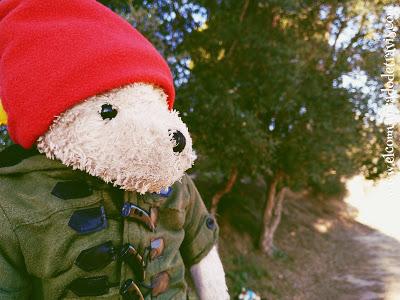 ENIGMA DE ADVIENTO. CACHORROS RASTREADORES ENIGMA DE ADVIENTO. CACHORROS RASTREADORES