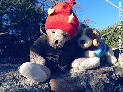 ENIGMA DE ADVIENTO. CACHORROS RASTREADORES ENIGMA DE ADVIENTO. CACHORROS RASTREADORES