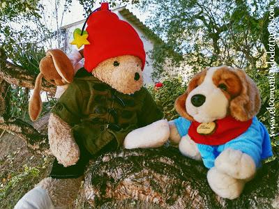 ENIGMA DE ADVIENTO. CACHORROS RASTREADORES ENIGMA DE ADVIENTO. CACHORROS RASTREADORES