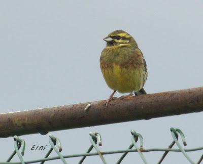 ESPERANDO QUE EL CLIMA SE NORMALICE
