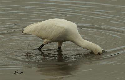 ESPERANDO QUE EL CLIMA SE NORMALICE
