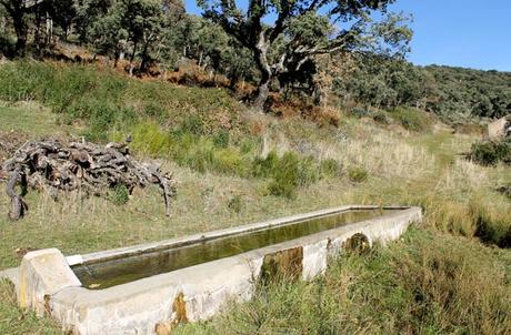 Ruta de la Cueva de la Mora, la cárcel de cuarzo de la reina Quilama Abrevadero para el ganado Cueva de la Mora