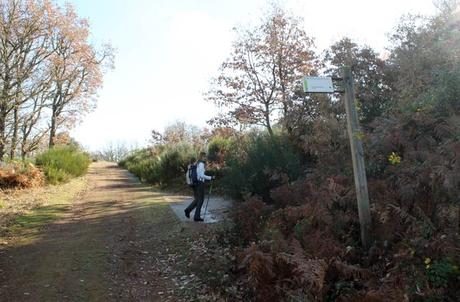 Ruta de la Cueva de la Mora, la cárcel de cuarzo de la reina Quilama Desvío a la derecha en el camino de La Bastida para tomar el sendero Cueva de la Mora