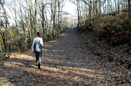 Ruta de la Cueva de la Mora, la cárcel de cuarzo de la reina Quilama Paisaje otoñal en el camino de La Bastida Cueva de la Mora