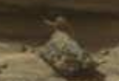 Angel de la Muerte es atrapado en MARTE ( y 4 demonios mas) Angel de la Muerte es atrapado en MARTE ( y 4 demonios mas)