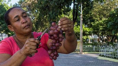 Arnoly, mujer trabajadora de barrio,vendedora de uvas, vinos y mermeladas.