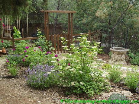 Proyecto de una terracita en zona del jardín con pendiente Proyecto de una terracita en zona del jardín con pendiente