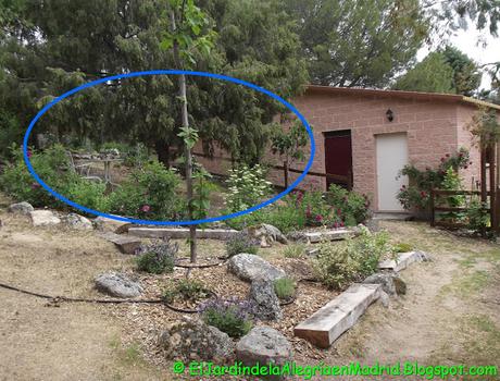 Proyecto de una terracita en zona del jardín con pendiente Proyecto de una terracita en zona del jardín con pendiente