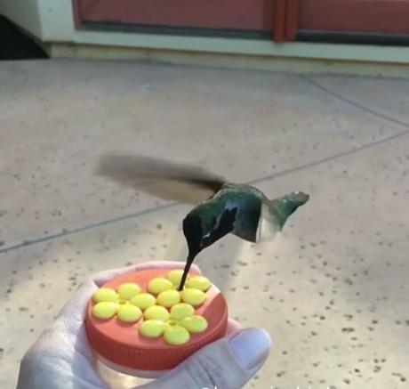 Sabes...aunque no eres perfecto