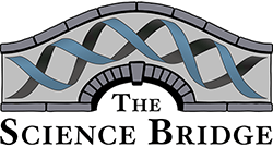 Nace ‘The Science Bridge’, 200 científicos de todo el mundo se unen para crear centros interculturales de investigación