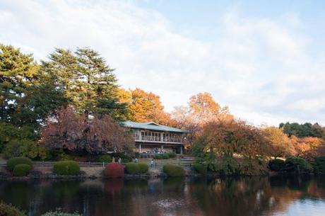 Shinjuku Gyoen