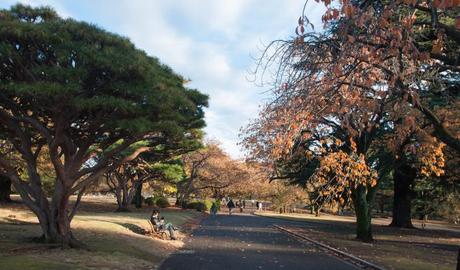 Shinjuku Gyoen