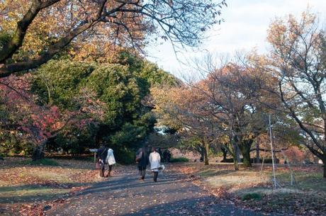 Shinjuku Gyoen