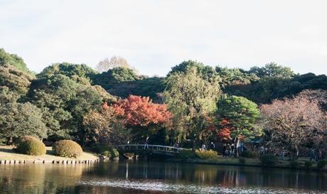 Shinjuku Gyoen