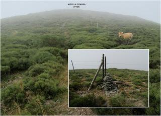 Millaró de la Tercia-Braña la Mude-La Pizarra-La Foya