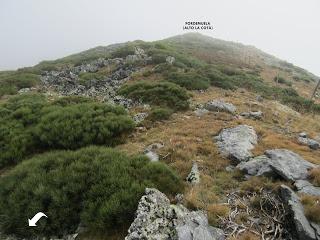 Millaró de la Tercia-Braña la Mude-La Pizarra-La Foya