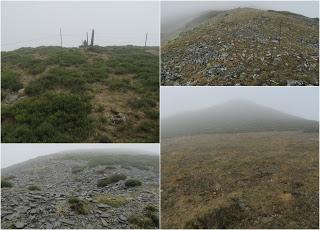 Millaró de la Tercia-Braña la Mude-La Pizarra-La Foya