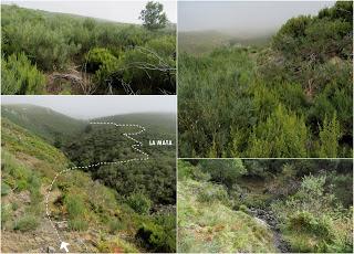 Millaró de la Tercia-Braña la Mude-La Pizarra-La Foya