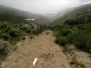 Millaró de la Tercia-Braña la Mude-La Pizarra-La Foya