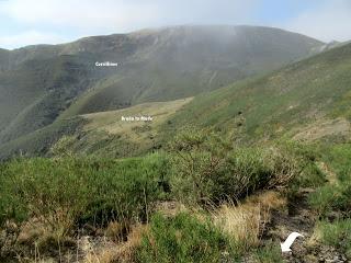 Millaró de la Tercia-Braña la Mude-La Pizarra-La Foya