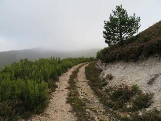 Millaró de la Tercia-Braña la Mude-La Pizarra-La Foya