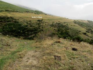 Millaró de la Tercia-Braña la Mude-La Pizarra-La Foya