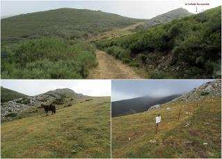 Millaró de la Tercia-Braña la Mude-La Pizarra-La Foya