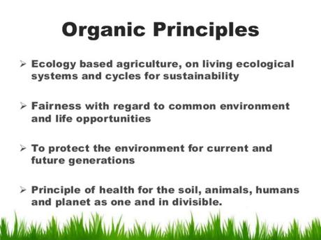 Una Visión de los alimentos y la agricultura ecológica en 2025 Una Visión de los alimentos y la agricultura ecológica en 2025