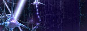 ¿Debería probar estos cinco remedios naturales para aliviar el dolor cólico en los bebés? El aprendizaje durante el desarrollo está regulado por una región cerebral inesperada