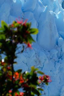 VISITA AL GLACIAR PERITO MORENO