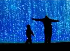 Ressenya de “L’aquari” de David Vann