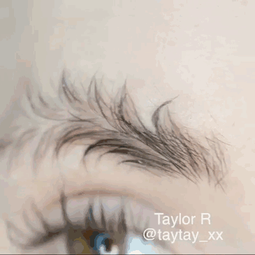Cejas de Árbol de Navidad christmas-tree-eyebrows-taytay_xx-4