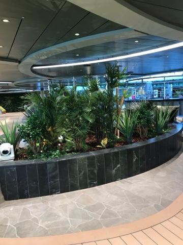 MSC SEASIDE: UN BARCO DIFERENTE MSC SEASIDE: UN BARCO DIFERENTE