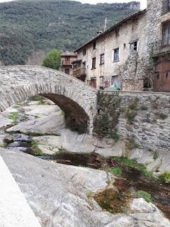 Beget