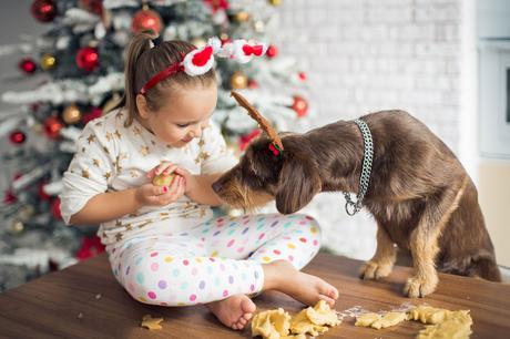 Cómo evitar que la Navidad estrese a tu mascota navidad estrés mascotas comidas