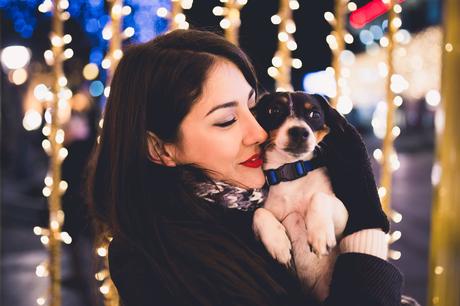 Cómo evitar que la Navidad estrese a tu mascota mascotas estrés navidad cohetes