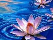 vida hábitos rutina crecimiento