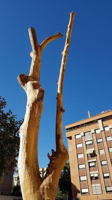 Proyecto árbol- fase bocetos