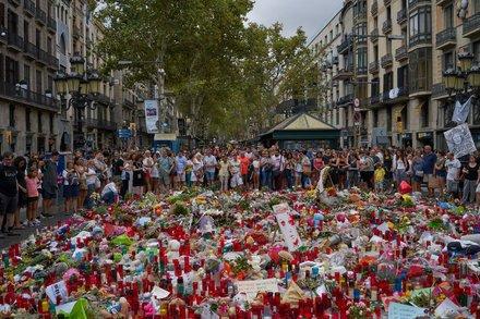 Mitigar el cambio climático con los pies en la tierra