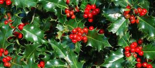 Como es la navidad en España