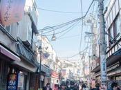 Yanaka Ginza (谷中ぎんざ)