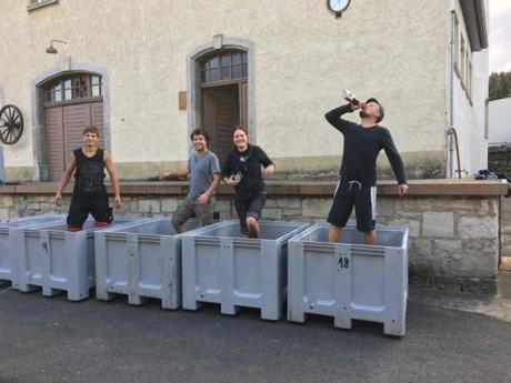 Pisando la uva. Vater & Sohn